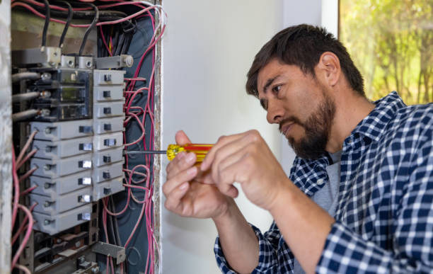 Best Electric Panel Repair  in Bayshore Gardens, FL